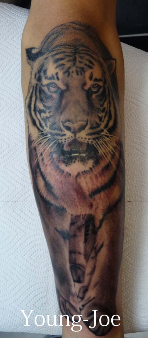 _˃^gD[,_ˎh,h_,_tattoo,,^CK[,ubN,zCg,A,Sg,,r,,ubNOC,m,蕨,JX
